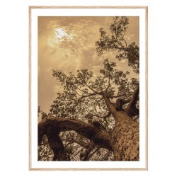 Постер в рамці "Дерево"