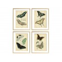 Комплект постерів "Butterflies"