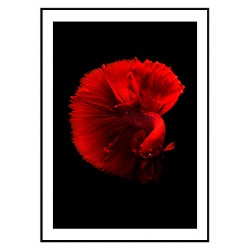 Комплект постерів в рамках "Amour"