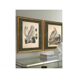 Комплект постеров "Birds"