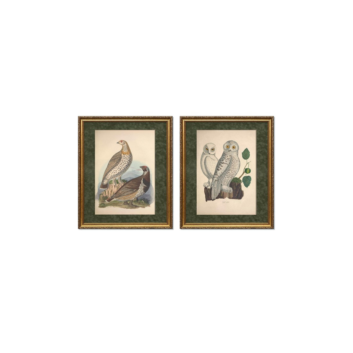 Комплект постерів "Birds"