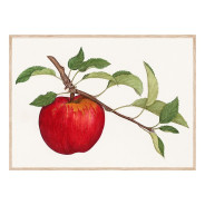 Комплект постеров в рамках "Fruity Vintage"