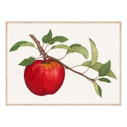 Комплект постеров в рамках "Fruity Vintage"