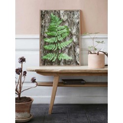 Постер в рамці "Папороть"