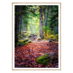 Постер в рамці "Ліс"