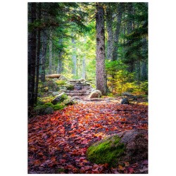 Комплект постеров "Как дома"