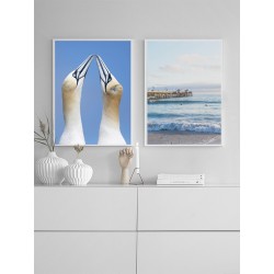 Постер в рамці "Дві північні олуші"