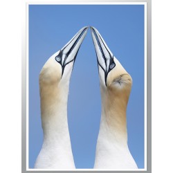 Комплект постерів в рамках "Nautical"