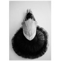 Постер "Ballerina"