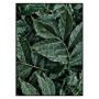 Постер "Green leaves"
