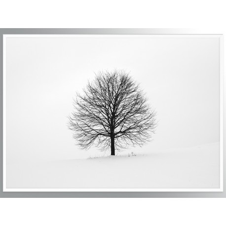 Постер "Wood"