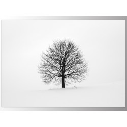 Постер "Wood"