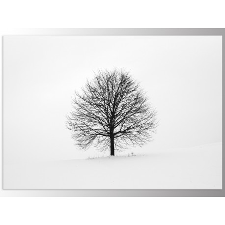 Постер "Wood"