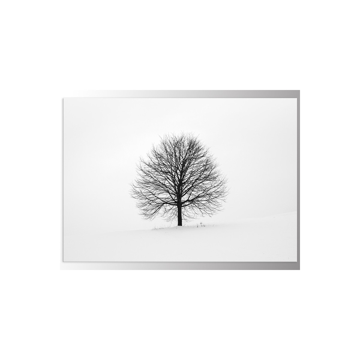 Постер "Wood"