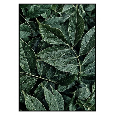 Постер в рамке "Green leaves"