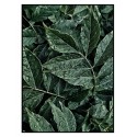 Постер в рамке "Green leaves"