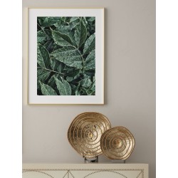 Постер в рамке "Green leaves"