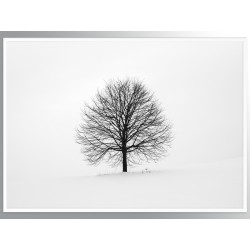 Постер в рамке "Wood"