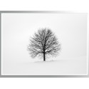 Постер в рамке "Wood"