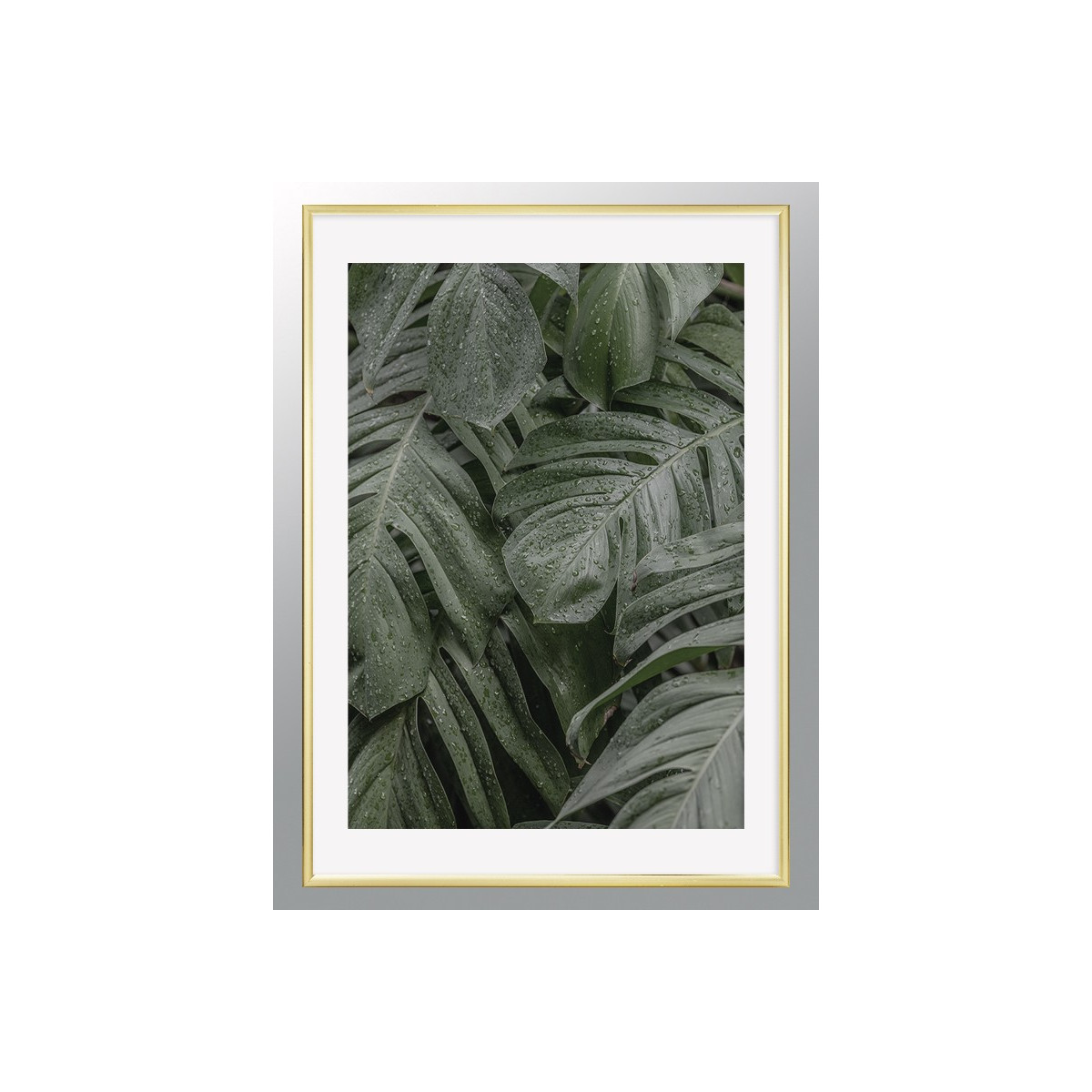 Постер в рамке "Tropical"