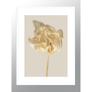 Постер в рамке "Flower"