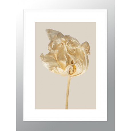 Постер в рамке "Flower"