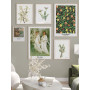 Постер в рамке "Vintage Botanical"