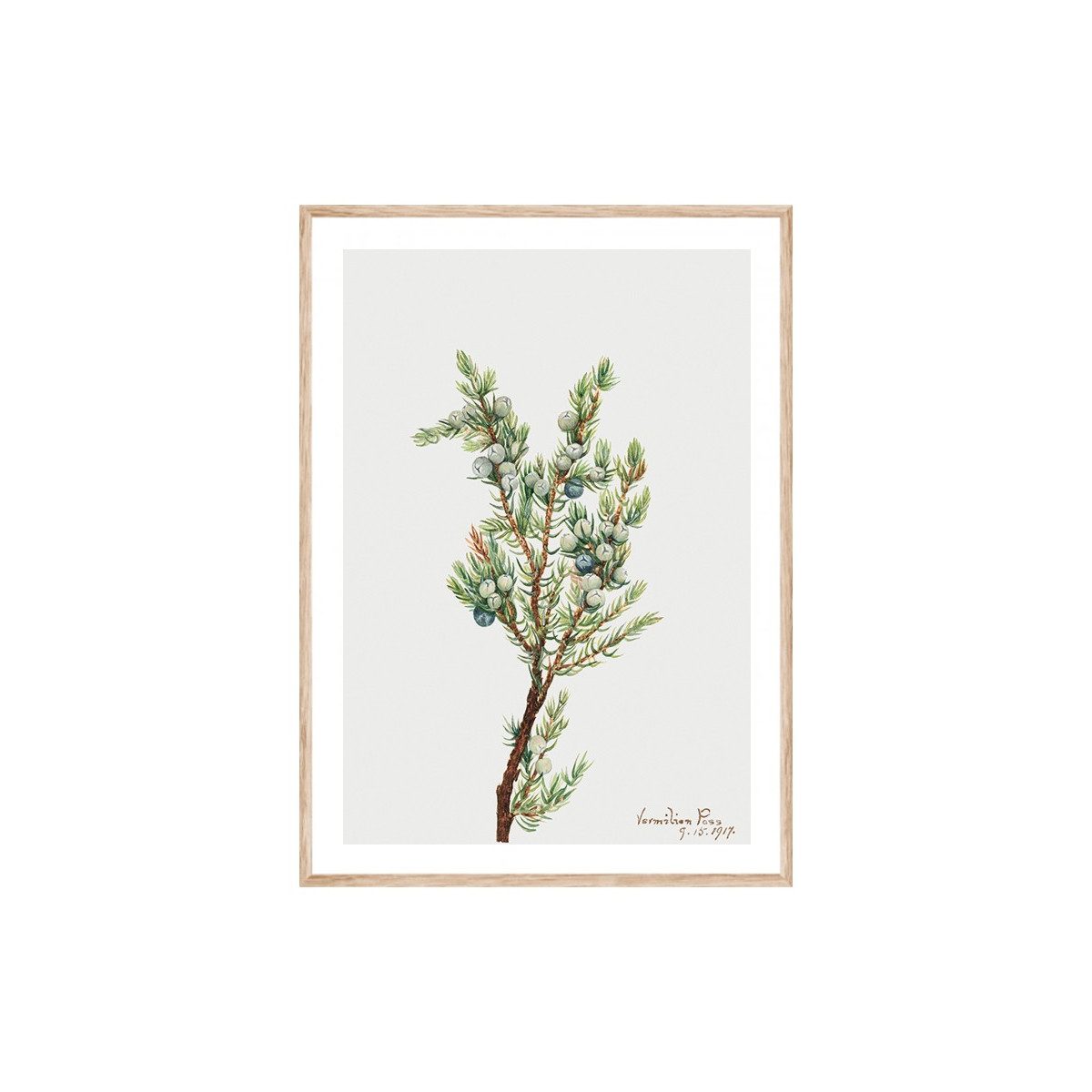 Постер в рамці "Vintage Botanical"