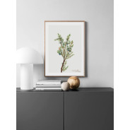 Постер в рамке "Vintage Botanical"