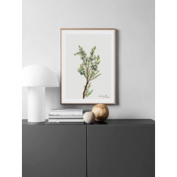 Постер в рамці "Vintage Botanical"