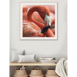 Постер в рамці "Flamingo"