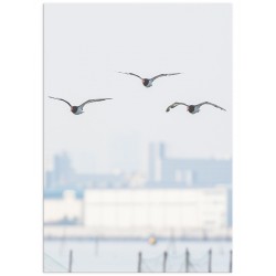 Комплект постеров "Santorini"