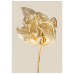 Комплект постерів "Boho"