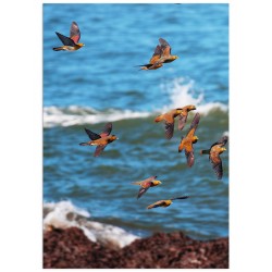 Комплект постеров "Море, море... День чудесныйй"