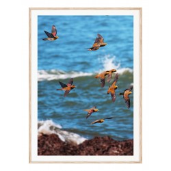 Комплект постеров в рамках "Море, море... День чудесный"