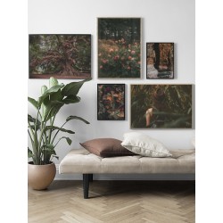 Комплект постерів "Own"