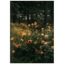 Комплект постерів "Own"