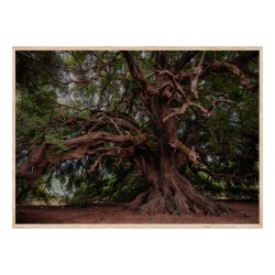 Комплект постеров в рамках "Own"