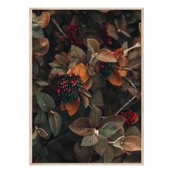 Комплект постеров в рамках "Own"