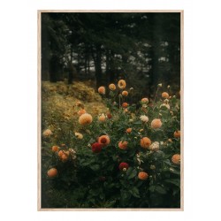 Комплект постеров в рамках "Own"