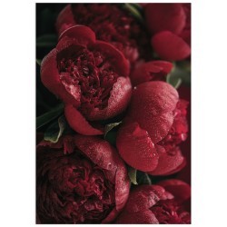 Комплект постеров "Love"