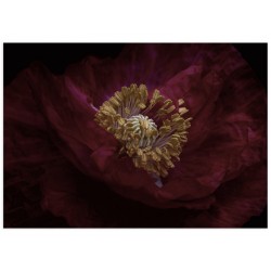 Комплект постеров "Love"