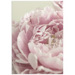 Комплект постерів "Powder"