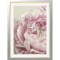 Комплект постеров в рамках "Powder"