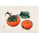 Постер "Persimmon Art"