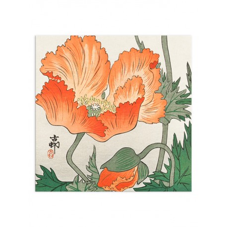 Постер "Poppy Art"