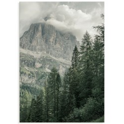 Комплект постеров "Nature"