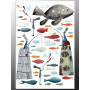 Комплект постерів "Voyage"