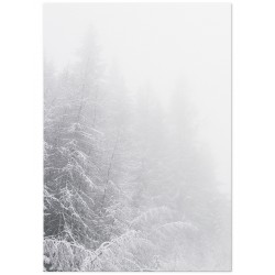 Комплект постеров "Snowy Forest"