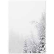Комплект постеров "Snowy Forest"
